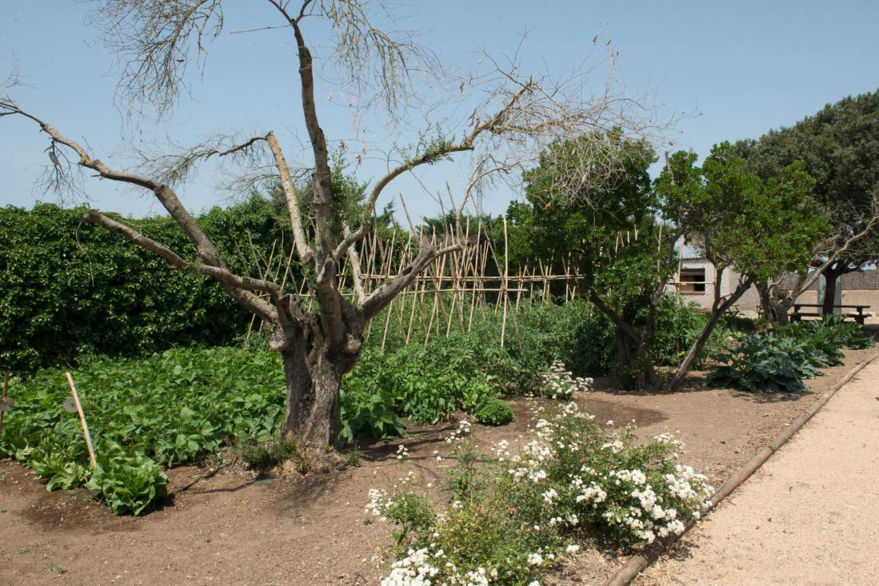 Mas Pla Acomodação com café da manhã Riudellots de la Selva Exterior foto